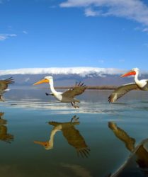 Viaggio fotografico in Grecia con Luca Bracali