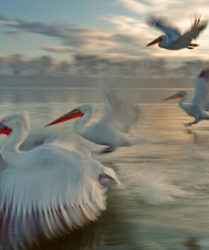 Viaggio fotografico in Grecia con Luca Bracali