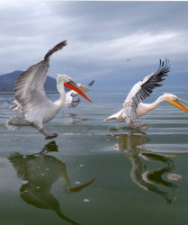 Viaggio fotografico in Grecia con Luca Bracali