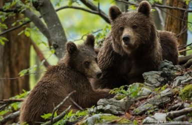 Viaggio fotografico in Slovenia con Luca Bracali