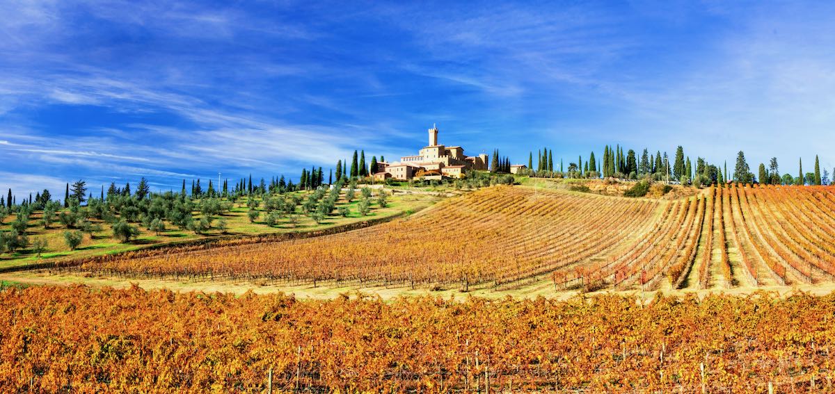 Picturesque  Tuscany – golden  vineywrds and castles. Wine region of Italy