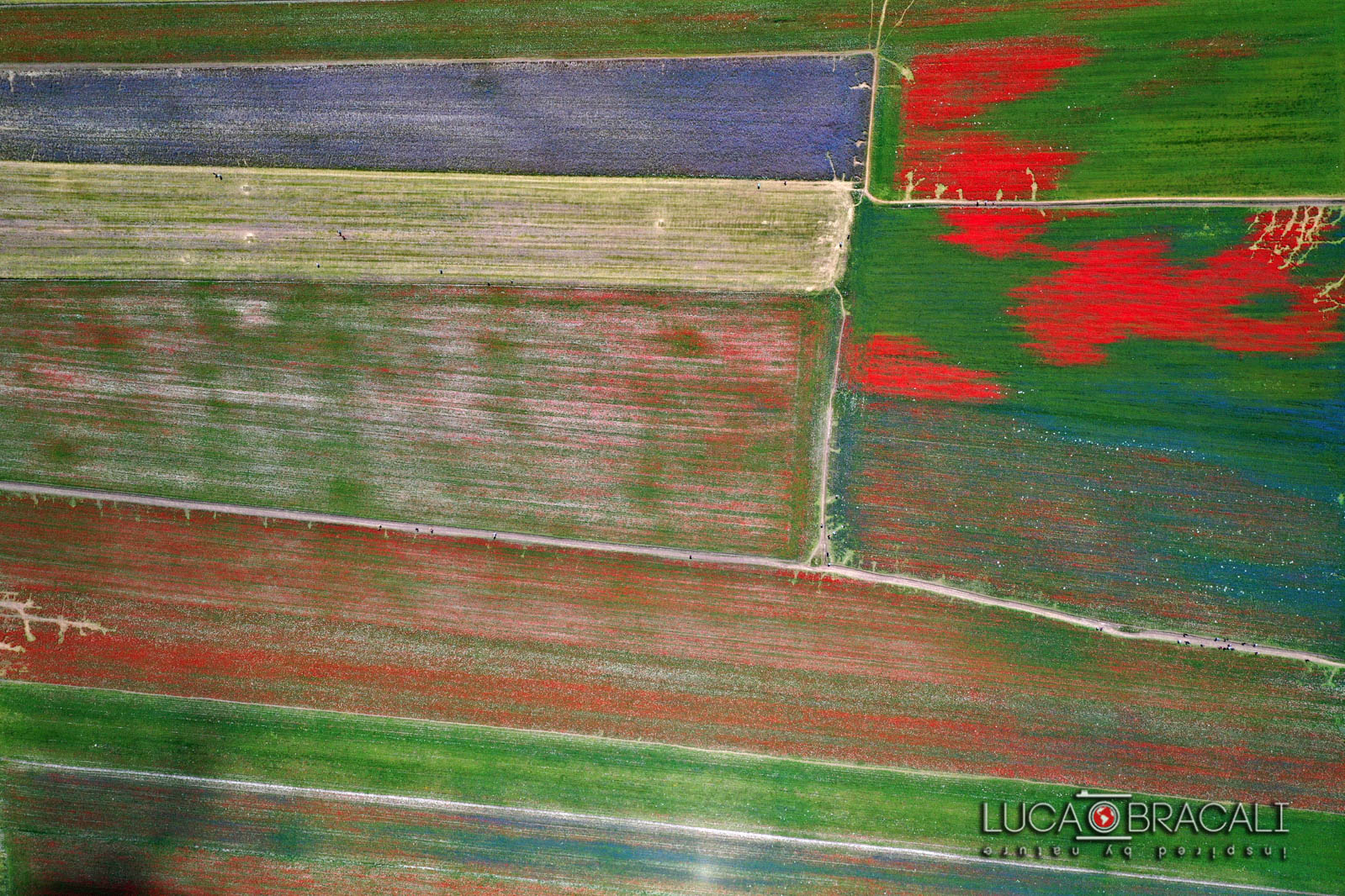 Castelluccio di Norcia 3