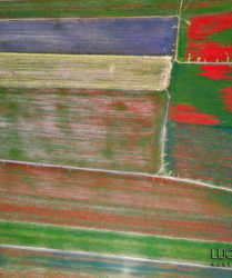 Castelluccio di Norcia