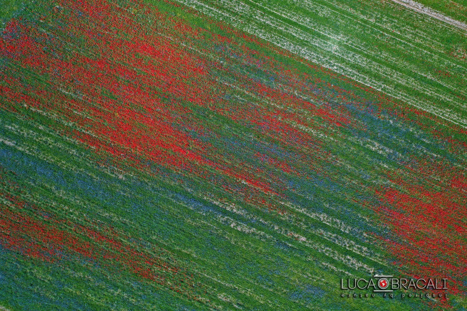 Castelluccio di Norcia54