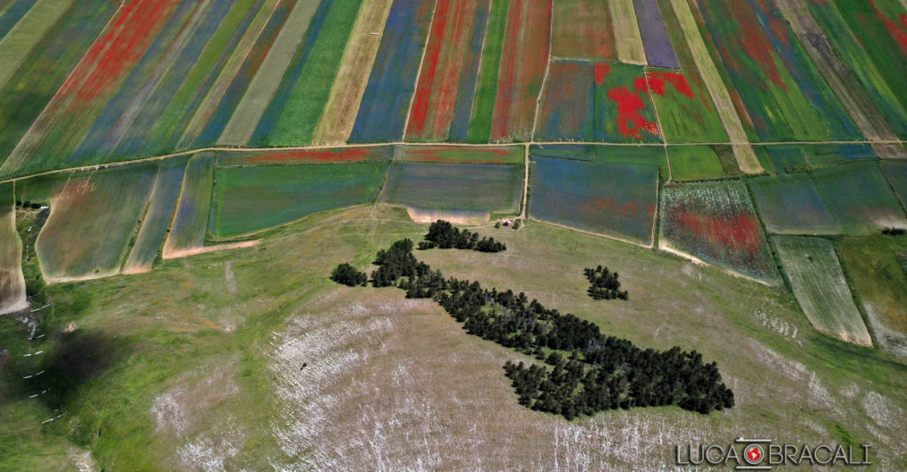 Castelluccio di Norcia