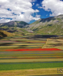 Castelluccio di Norcia