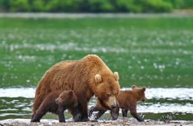 Viaggio fotografico in Kamchatka