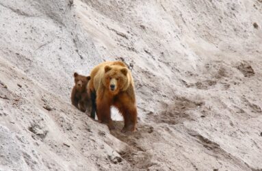 Viaggio fotografico in Kamchatka