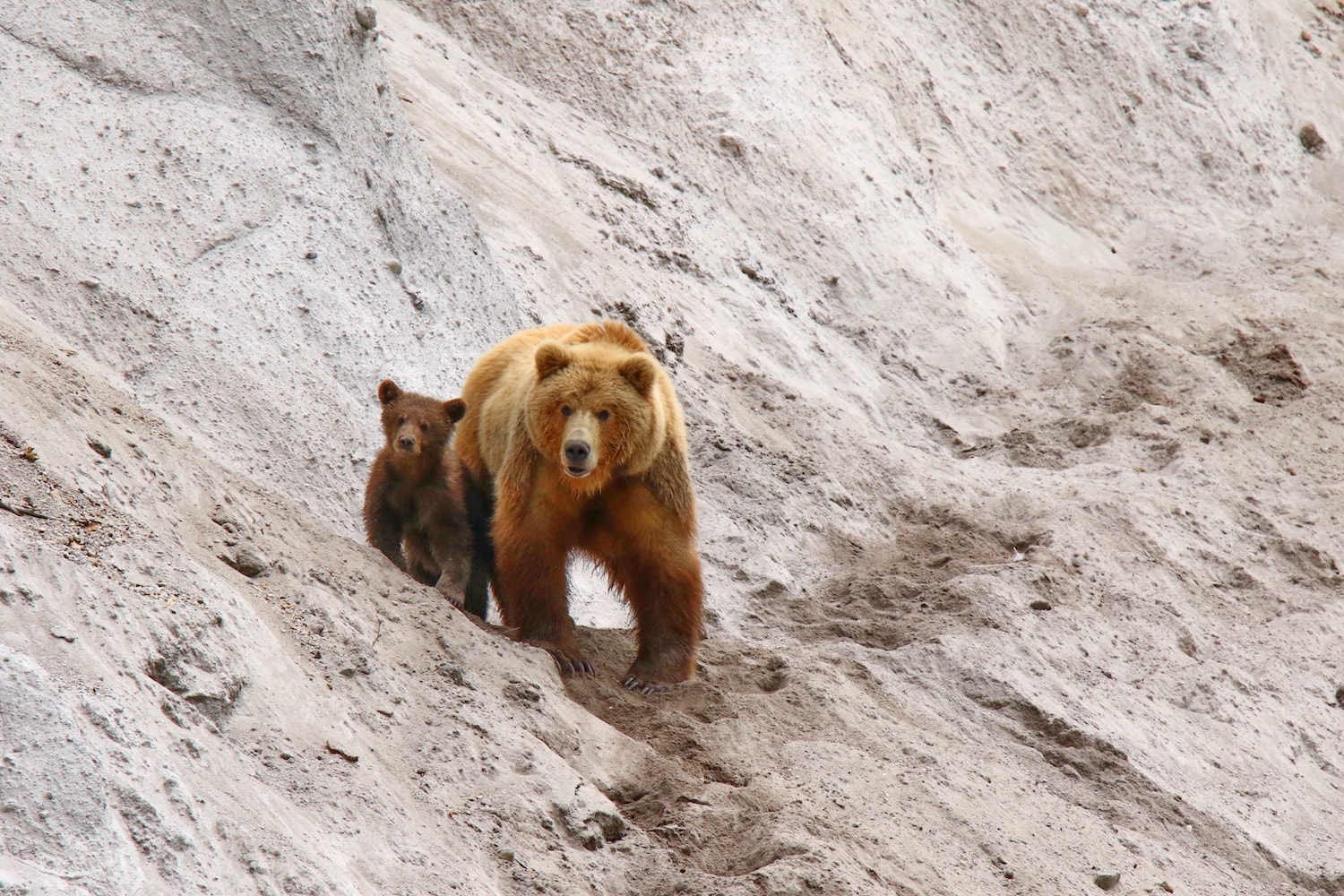 Viaggio fotografico Kamchatka 00004-min