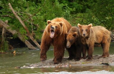 Viaggio fotografico in Kamchatka