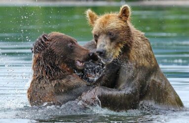 Viaggio fotografico in Kamchatka