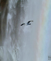 Giornata mondiale dell'acqua, foto di Luca Bracali