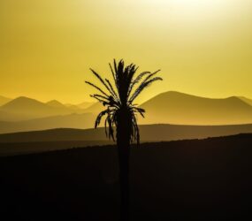 Viaggio fotografico a Lanzarote con Luca Bracali