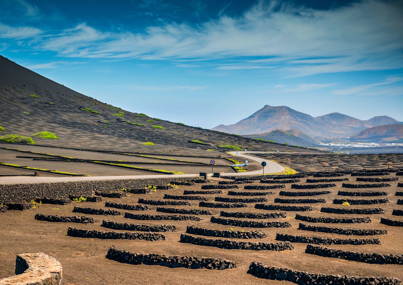 istock_Lanzarote_La Geria-min