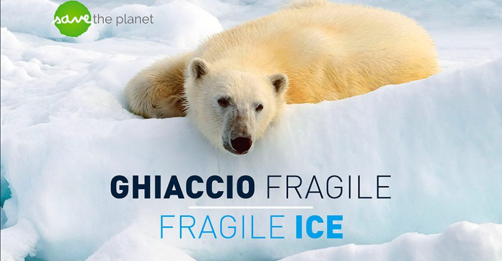 Luca Bracali, Ghiaccio Fragile