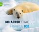 Luca Bracali, Ghiaccio Fragile