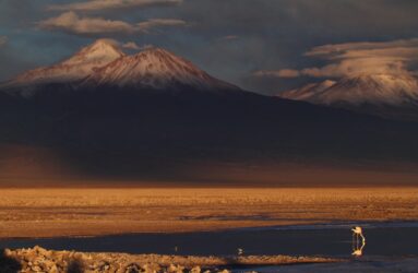 Viaggio in Cile, deserto Atacama