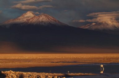 Viaggio in Cile, deserto Atacama
