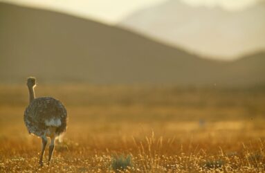 Viaggio in Argentina con Luca Bracali