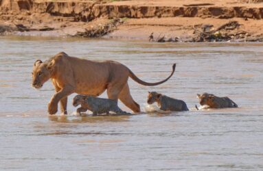 Viaggio in Kenya con Luca Bracali