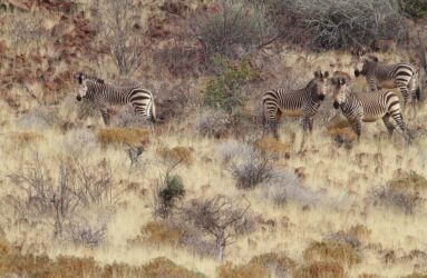 Viaggio in Namibia