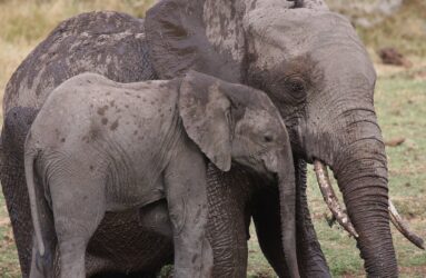 Viaggio in Namibia