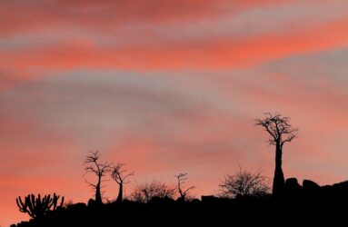 Viaggio in Namibia