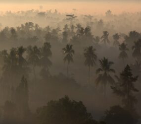 Viaggio in Indonesia: Sulawesi, Java e Bali