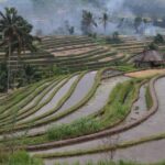 Viaggio in Indonesia: Sulawesi, Java e Bali