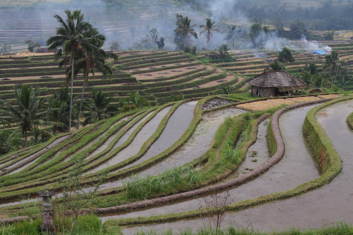 Viaggio Indonesia 3-min