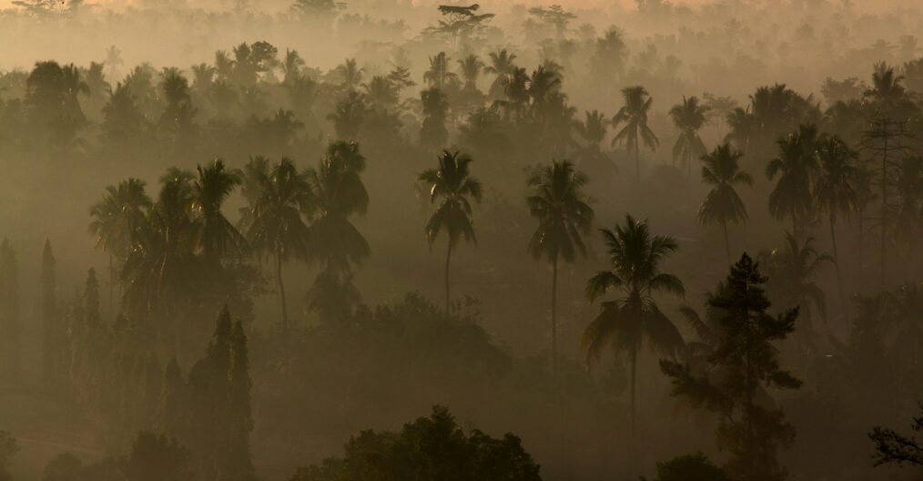 Viaggio in Indonesia: Sulawesi, Java e Bali