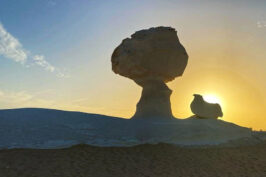 EGITTO - Dal 29/11 al 05/12