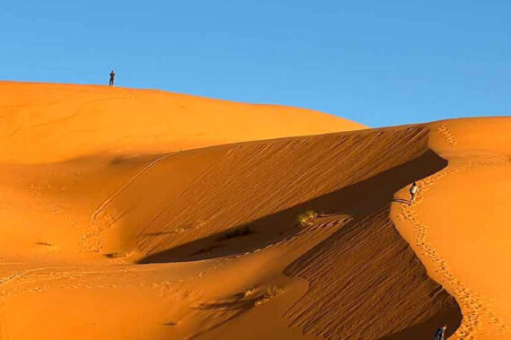 ALGERIA - Dal 13 al 22/10