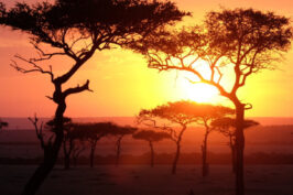 KENYA - Dal 25/09 al 04/10